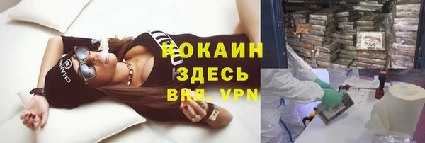 индика Баксан