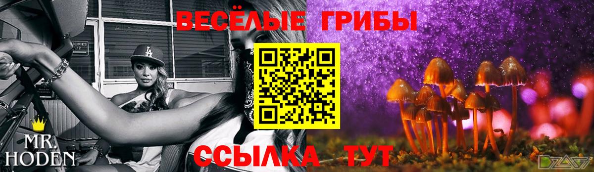 Псилоцибиновые грибы Magic Shrooms Спасск-Дальний